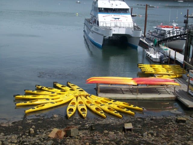 Colorful kayaks lined up at a pier in Bar Harbor, Maine